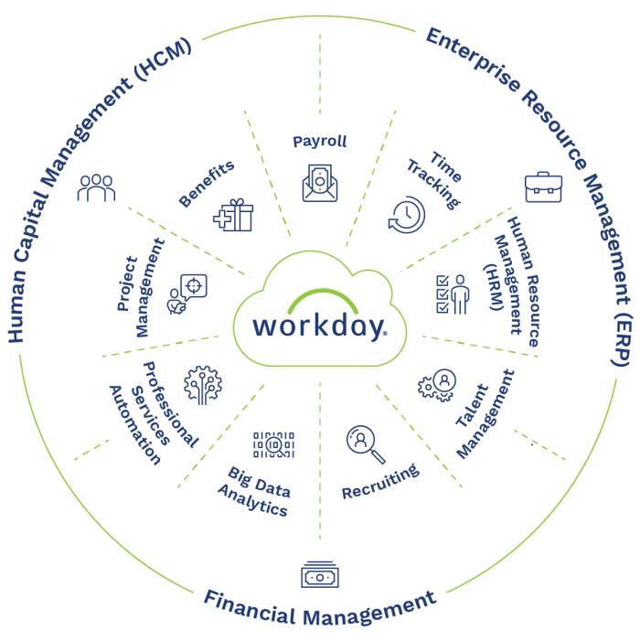 WORKDAY ERP SYSTEM