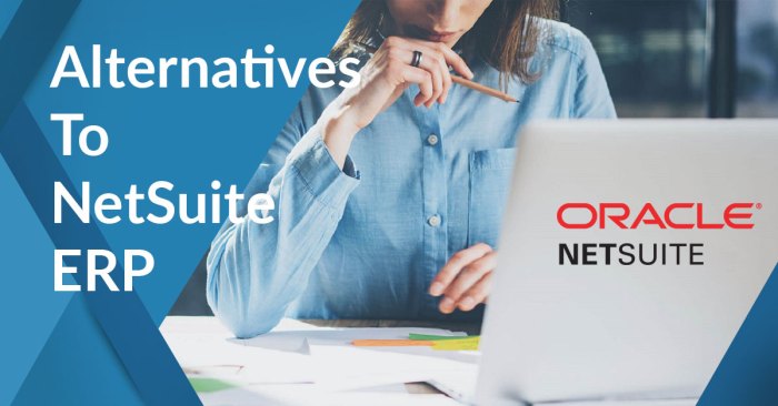 SOFTWARE SIMILAR TO NETSUITE