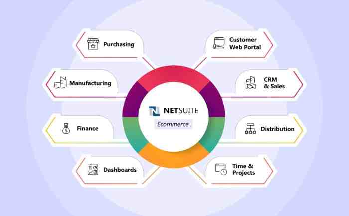 Financial management netsuite software erp system cloud products portal business world assets