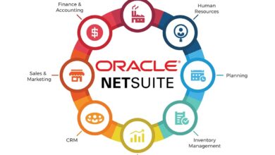 NETSUITE ACCOUNTING SERVICES