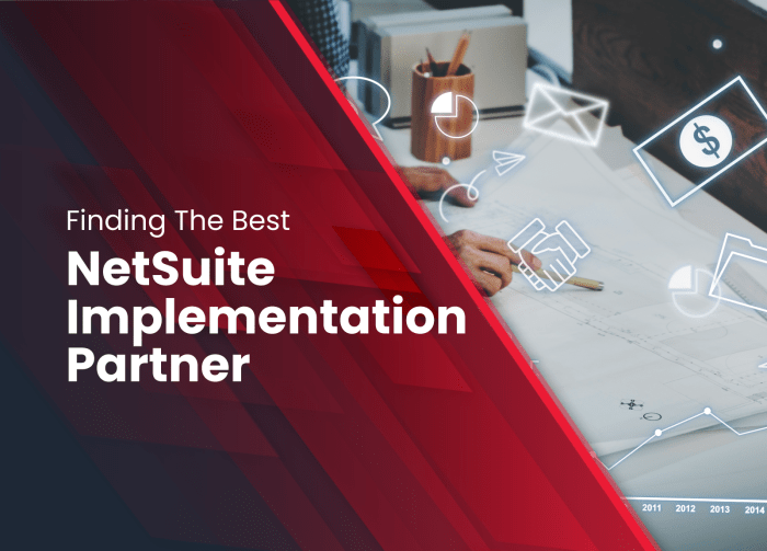 Netsuite implementation partners cheat ultimate sheet