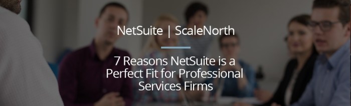 NETSUITE PROFESSIONAL SERVICES