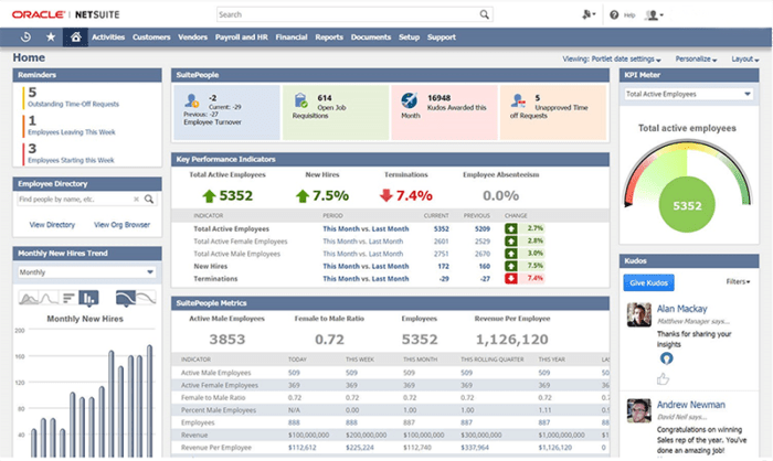 NETSUITE DEMO