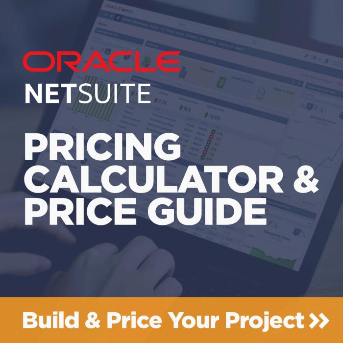 NETSUITE TRIAL ACCOUNT