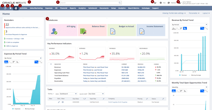 Netsuite crm overview