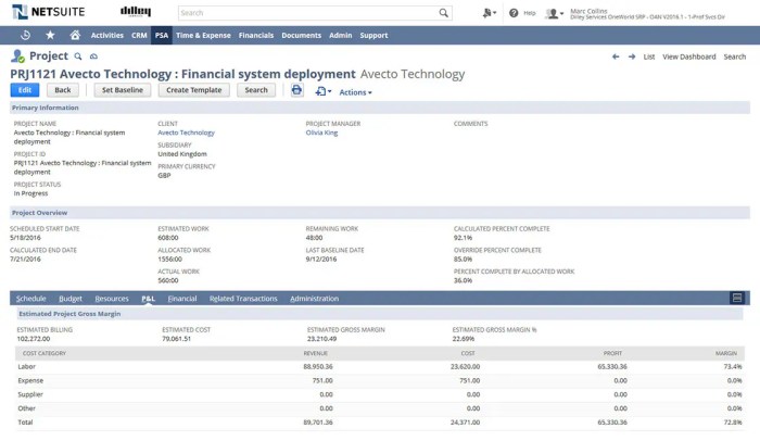 NETSUITE ACCOUNTING SERVICES