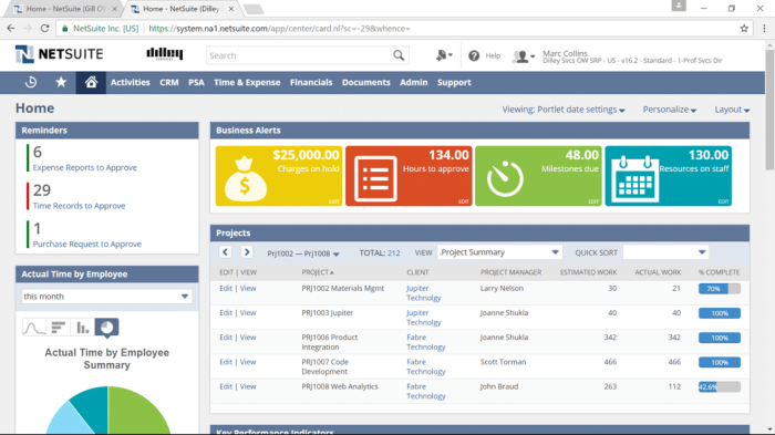 NETSUITE TRIAL