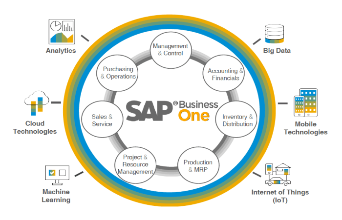 SAP BUSINESS ONE PARTNER