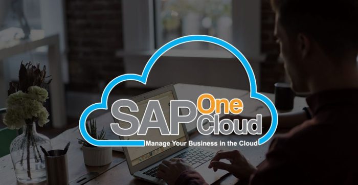 SAP BUSINESS ONE CLOUD