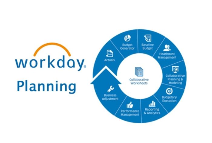 Workday employees explained hcm acte unlimited companies explored defined