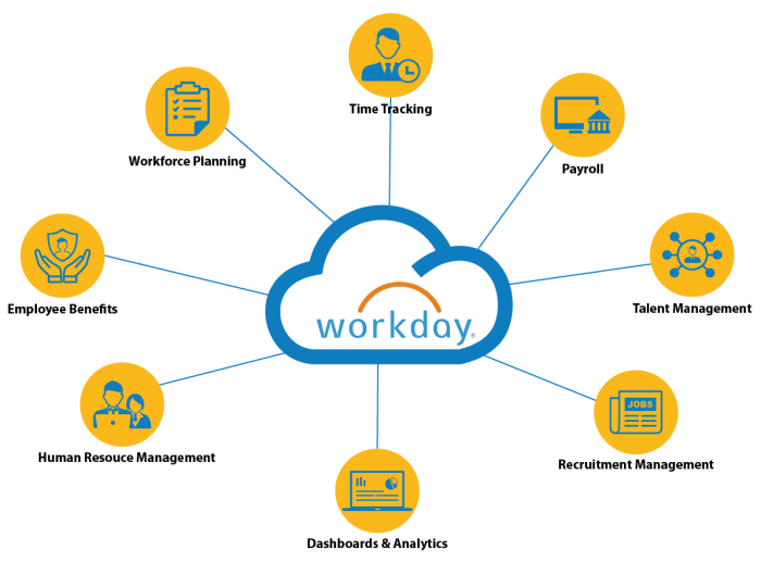 WORKDAY ERP SYSTEM