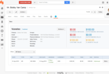 Crm insightly popular everhour