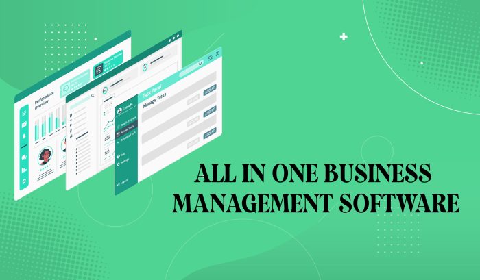 Software business management