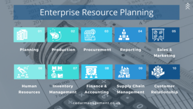 ERP FOR MEDIUM SIZED BUSINESS