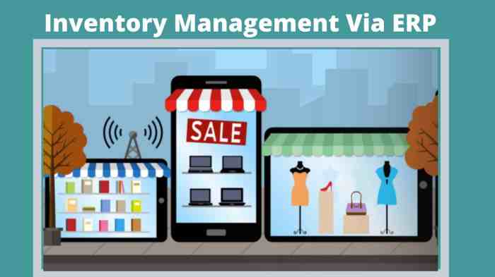 Erp inventory management software