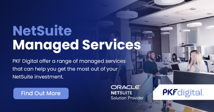 NETSUITE MANAGED SERVICES