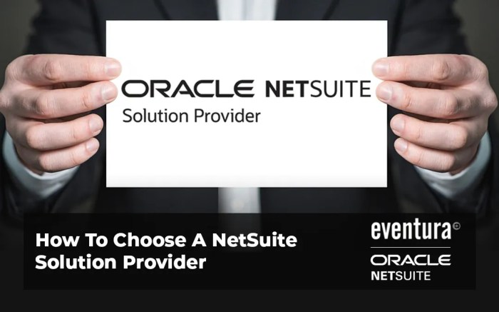 NETSUITE SOLUTION PROVIDER