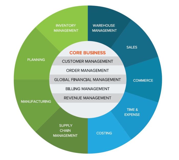 Netsuite erp chart crm manufacturing process manufacturers features item overview