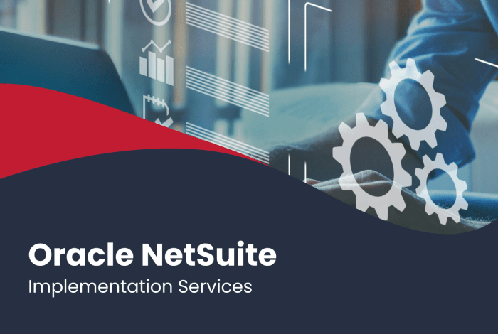 ORACLE NETSUITE HELP