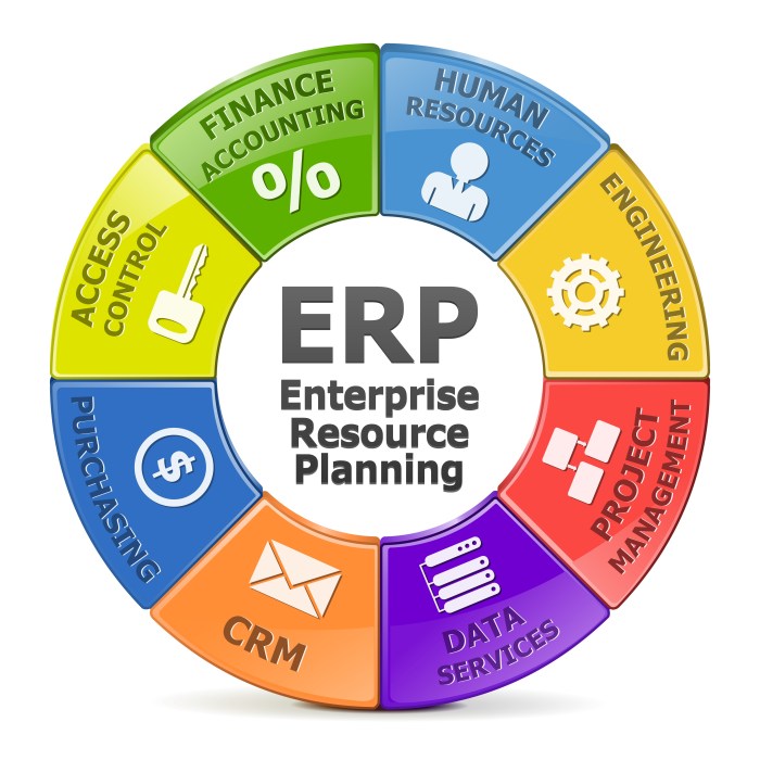 Erp implementations