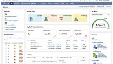 NETSUITE OPTIONS