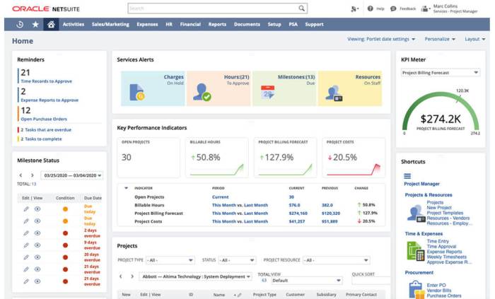 NETSUITE OPTIONS