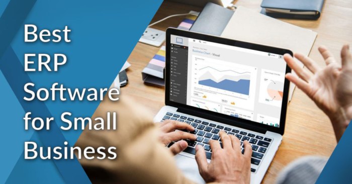 ERP SOLUTIONS FOR SMALL BUSINESSES