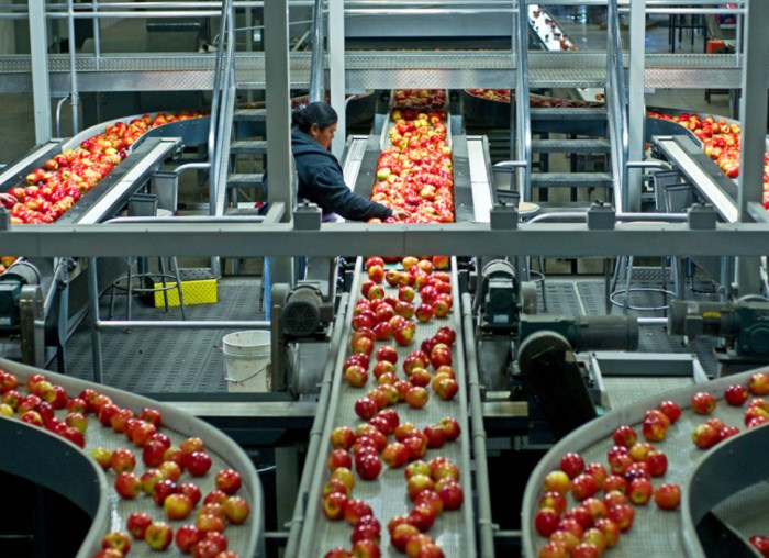 BEST ERP FOR FOOD MANUFACTURING