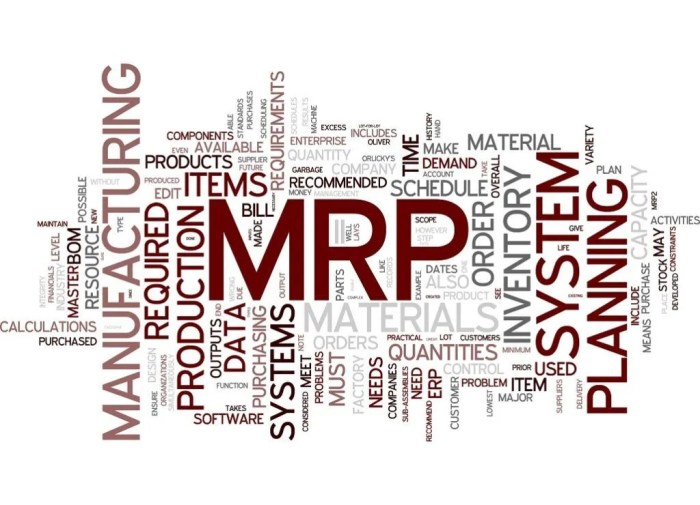 Mrp requirement tally module erp input cadena evolucion scenarios populates