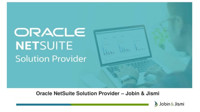 Netsuite provider solution consultant company