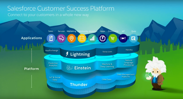 SALESFORCE CUSTOMER SUCCESS PLATFORM