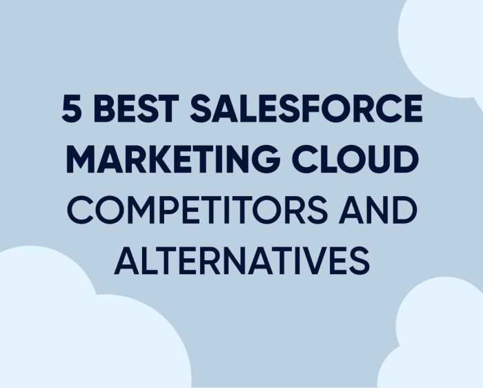 SALESFORCE MARKETING CLOUD COMPETITORS