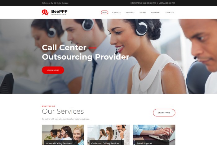 CALL CENTER WEBSITE