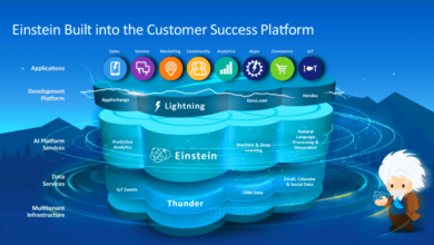 SALESFORCE CUSTOMER SUCCESS PLATFORM