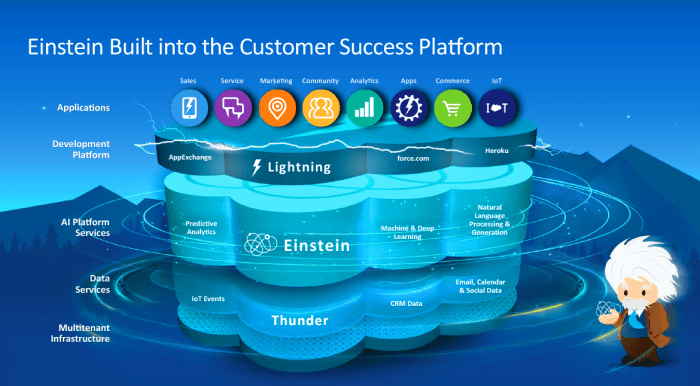 SALESFORCE CUSTOMER SUCCESS PLATFORM