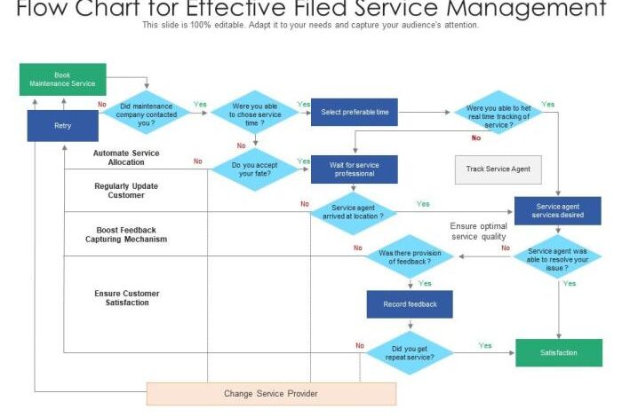 Service field software management manager fsm services demo request