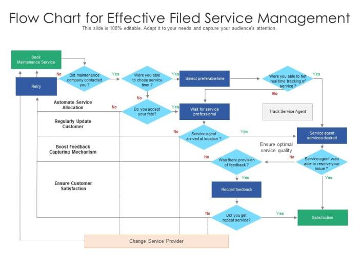 Service field software management manager fsm services demo request