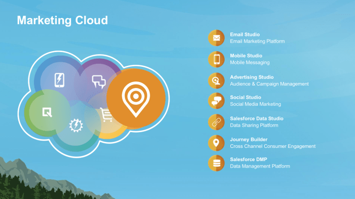 SALESFORCE MARKETING CLOUD COMPETITORS