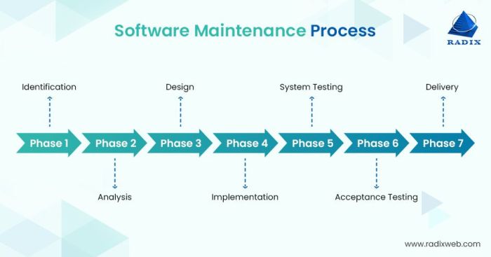 SOFTWARE FIELD SERVICE