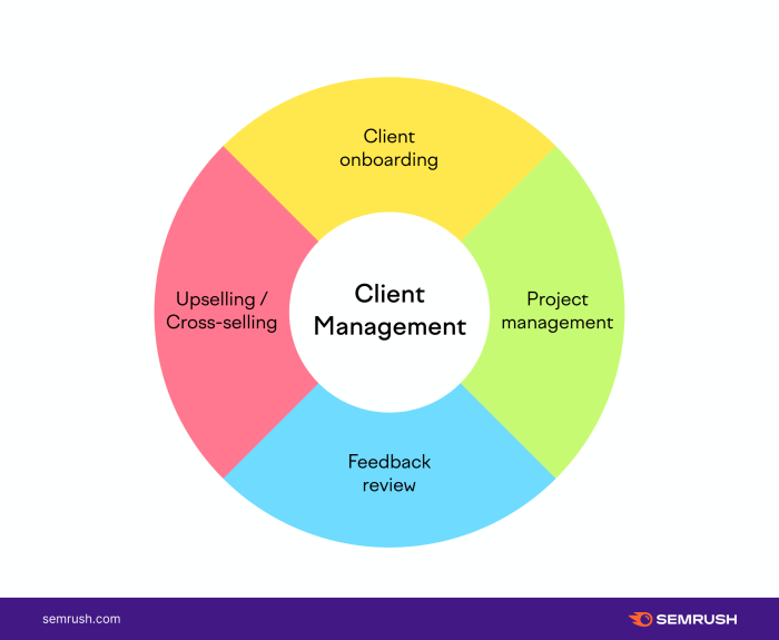 CLIENT MANAGEMENT SYSTEMS