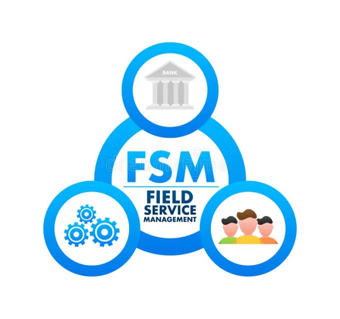 FSM FIELD SERVICE MANAGEMENT