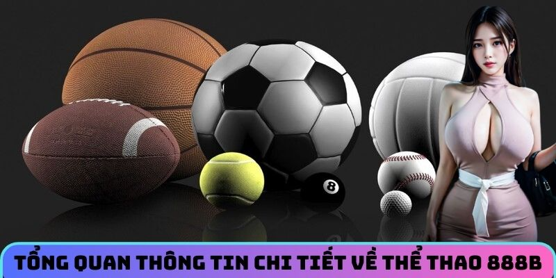 Tổng quan thông tin chi tiết về thể thao 