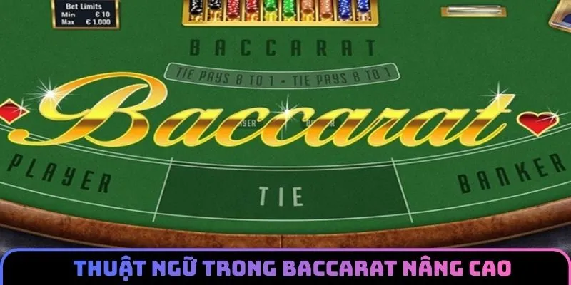 Liệt kê các thuật ngữ trong baccarat nâng cao