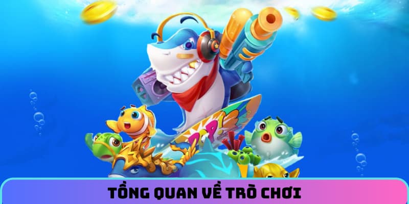 Tổng quan về trò chơi