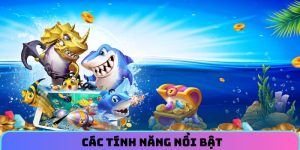 Các tính năng nổi bật của game tiên long đánh cá