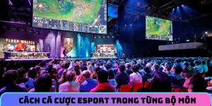 Thông tin chung về esport