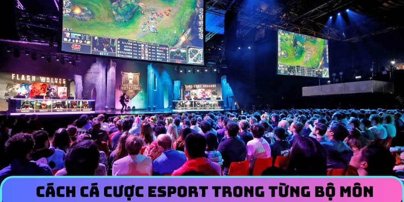 Thông tin chung về esport