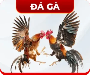 icon-da-ga