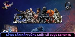Vì sao nên nắm vững luật cá cược esports 