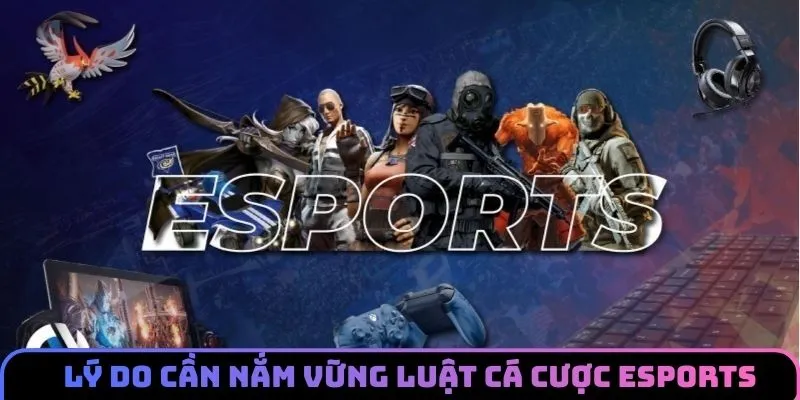 Vì sao nên nắm vững luật cá cược esports 